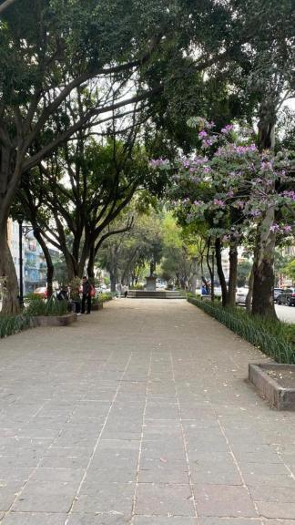 Vive Roma Cdmx Apartment Mexico City Exterior photo